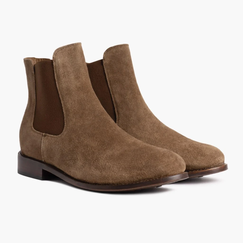 Cavalier | Dusty 1 Cavalier | Dusty